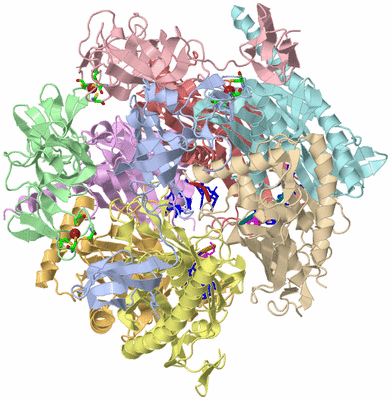 Image Asym./Biol. Unit - sites