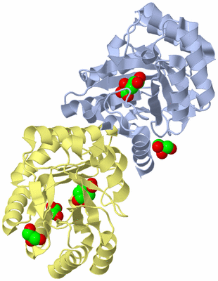 Image Biological Unit 1