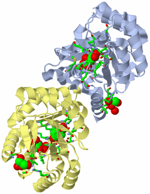 Image Biol. Unit 1 - sites