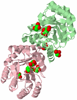 Image Biological Unit 2