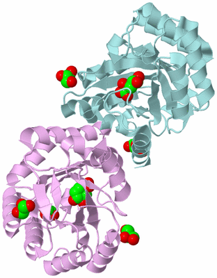 Image Biological Unit 3