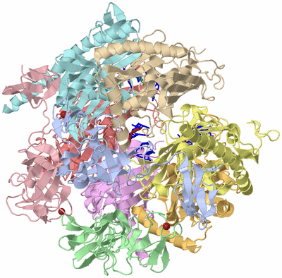 Image Asym./Biol. Unit