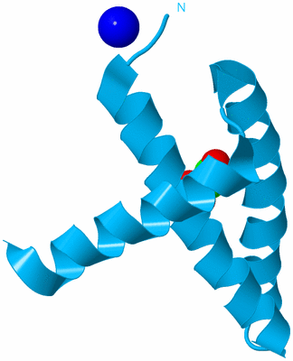 Image Biological Unit 10