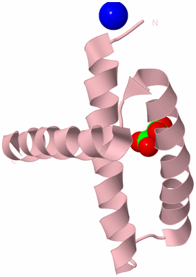 Image Biological Unit 3