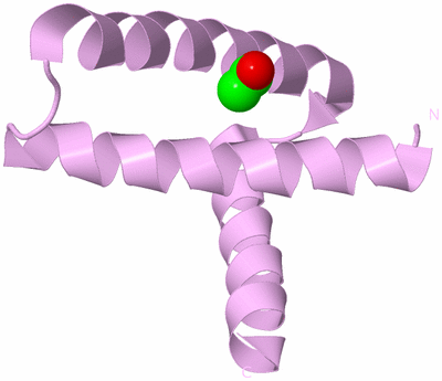 Image Biological Unit 5