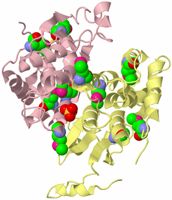 Image Biological Unit 2