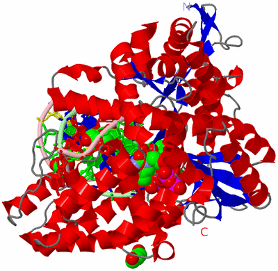 Image Asym./Biol. Unit