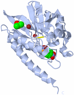 Image Biological Unit 1