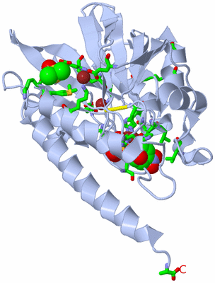 Image Biol. Unit 1 - sites