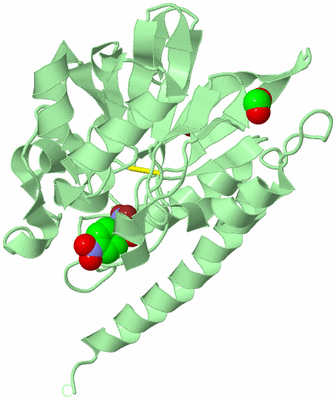 Image Biological Unit 2