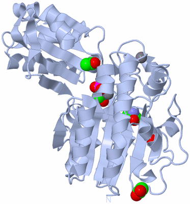 Image Biological Unit 1