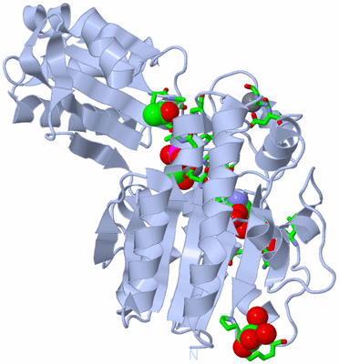 Image Biol. Unit 1 - sites