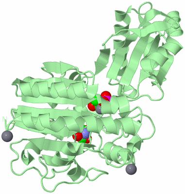 Image Biological Unit 2