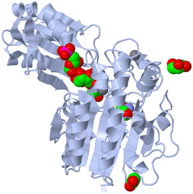 Image Biological Unit 1