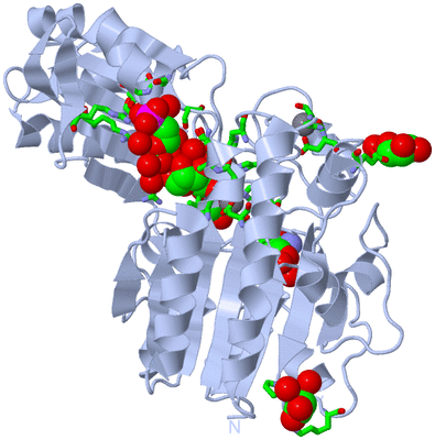 Image Biol. Unit 1 - sites