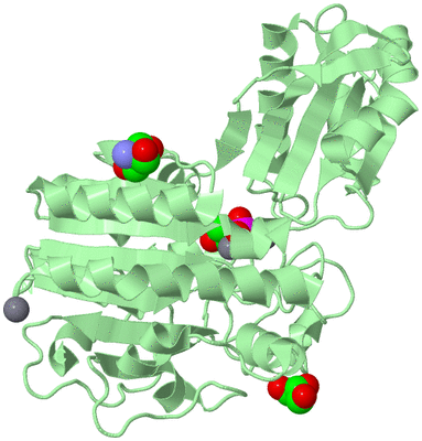 Image Biological Unit 2