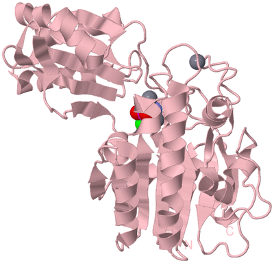 Image Biological Unit 3