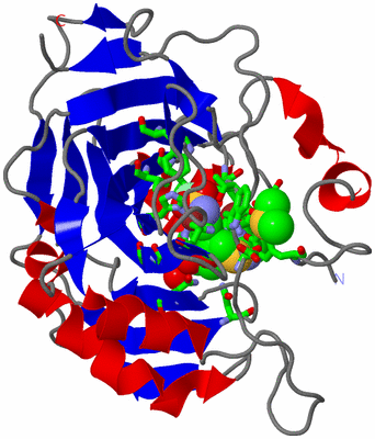 Image Asym./Biol. Unit - sites