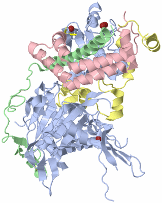 Image Asym./Biol. Unit