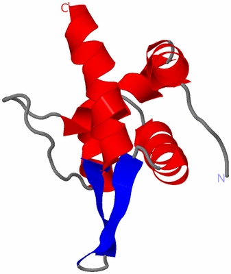 Image Asymmetric Unit