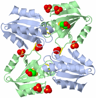 Image Biological Unit 3