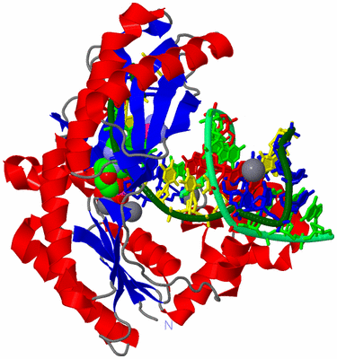 Image Asym./Biol. Unit