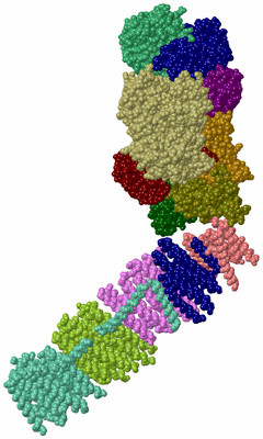 Image Biol. Unit 1 - sites