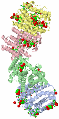 Image Biol. Unit 1 - sites