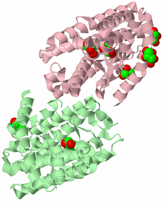 Image Biological Unit 3