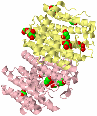 Image Biological Unit 4