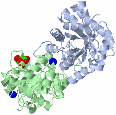 Image Asym./Biol. Unit