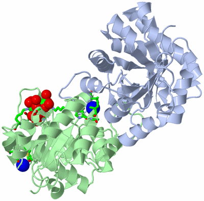 Image Asym./Biol. Unit - sites