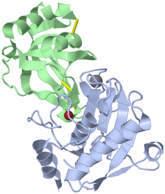 Image Biological Unit 2