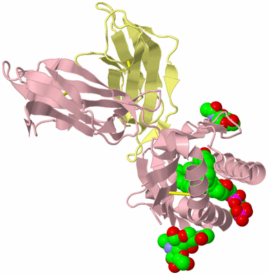 Image Biological Unit 1