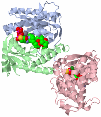 Image Asym./Biol. Unit