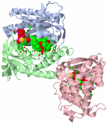 Image Asym./Biol. Unit - sites