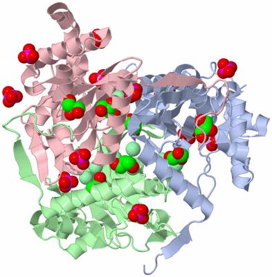 Image Asym./Biol. Unit