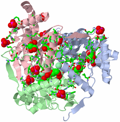 Image Asym./Biol. Unit - sites