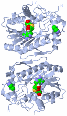 Image Biological Unit 1