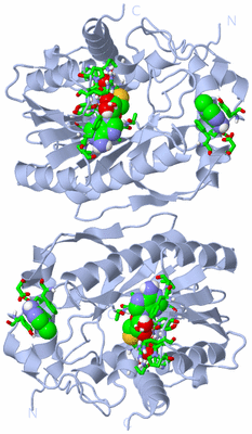 Image Biol. Unit 1 - sites