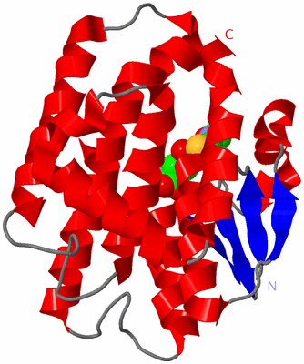 Image Asymmetric Unit