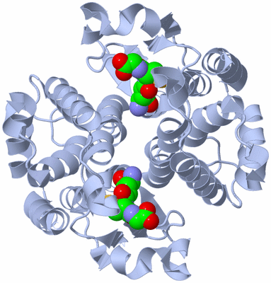 Image Biological Unit 1