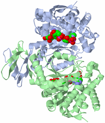 Image Asym./Biol. Unit