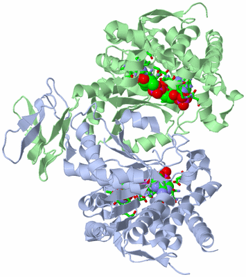 Image Asym./Biol. Unit - sites