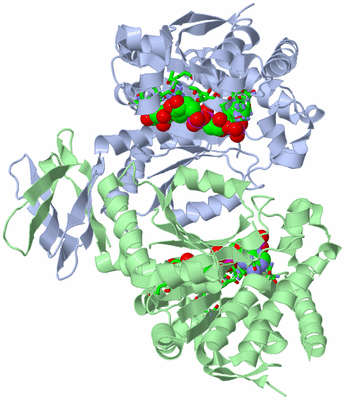 Image Asym./Biol. Unit - sites