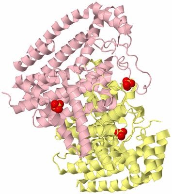 Image Biological Unit 2