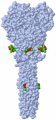 Image Biological Unit 1