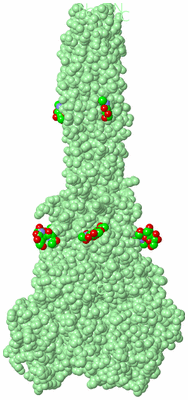 Image Biological Unit 2