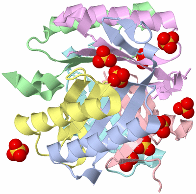 Image Biological Unit 1