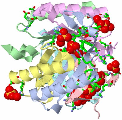 Image Biol. Unit 1 - sites